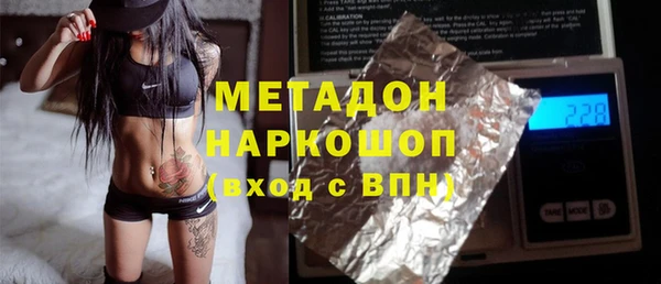 индика Аркадак