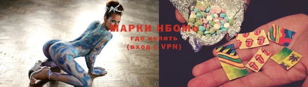 индика Аркадак