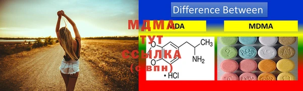 индика Аркадак