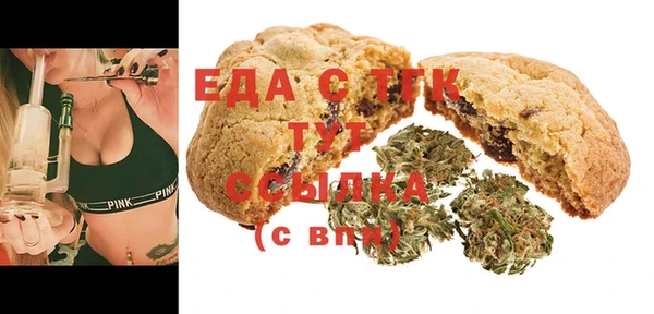 индика Аркадак
