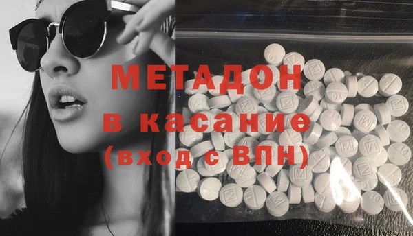 индика Аркадак