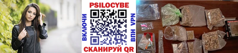 OMG tor  как найти   Трубчевск  Псилоцибиновые грибы мухоморы 